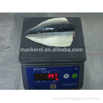 Good Quality Frozen Butterfly Mackerel Flaps For EU